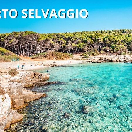 Casa Smeraldo Mare A Sud Di Porto Cesareo Torre Inserraglio Exterior photo
